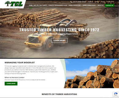 Website Portfolio Colorado